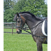 Produktbild von Busse Ausbindezügel Oesen-Elastik für Pony in Schwarz