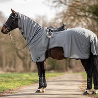 Produktbild von Busse Ausreitdecke MOSKITO III aus Polyester in Grau