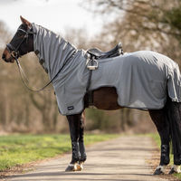 Produktbild von Busse Ausreitdecke Moskito III aus Polyester in Grau