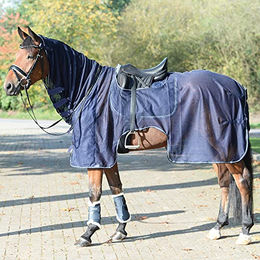 Produktbild von Busse Ausreitdecke MOSKITO III Blau 165 cm