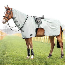 Busse Ausreitdecke Moskito III Fliegendecke für Pferde Grau 145 cm – Bild 1 von 6