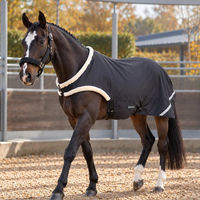 Produktbild von Busse Bewegungsdecke Rain Cozy HL Schwarz Größe 155