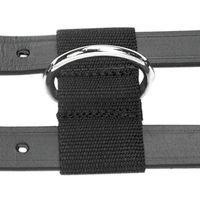Produktbild von Busse BU Professional Longiergurt aus Leder in Schwarz für Warmblut