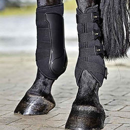 Busse Dressage-Pro Gamaschen Beinschutz Schwarz Größe S – Bild 1 von 4