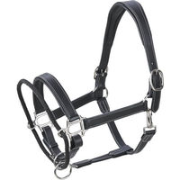 Produktbild von Busse Easy-Correct Lederhalfter Schwarz