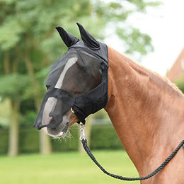 Busse Everline Fliegenmaske Fly Buckler Plus für Ponys in Schwarz – Bild 1 von 3