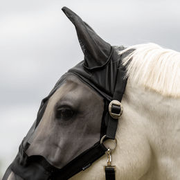 Busse Fliegenhalfter Fast Plus Fliegenschutz für Warmblut in Schwarz aus Nylon – Bild 1 von 5