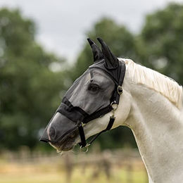 Busse Fliegenhalfter FAST PLUS für Warmblut in Schwarz aus Nylon – Bild 1 von 3