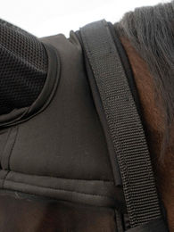 Busse Fliegenhalfter Fast Pony Schwarz – Bild 1 von 3
