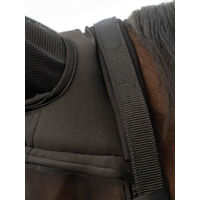 Produktbild von Busse Fliegenhalfter Fast Pony Schwarz