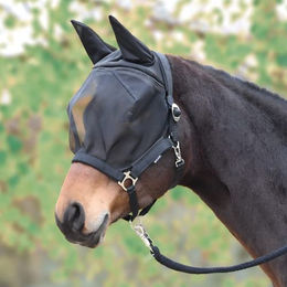 Busse Fliegenhalfter FAST XWB für Warmblut Schwarz – Bild 1 von 6