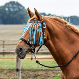 Busse Fliegenkordelband für Warmblut Pferde in Rot oder Blau – Bild 1 von 3