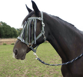 Produktbild von Busse Fliegenkordelband TAMPERE Pony