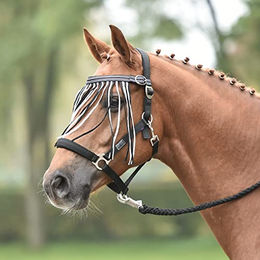 Produktbild von Busse Fliegenkordelband Tampere Pony Schwarz Weiß