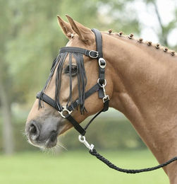 Busse Fliegenkordelband Tampere Schwarz für Warmblut – Bild 1 von 4