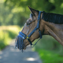 Busse Fliegenkordelband Visby NO Blau für Warmblut – Bild 1 von 5