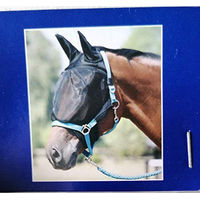 Produktbild von Busse Fliegenmaske Combi Plus Insektenschutz für Warmblut in Schwarz