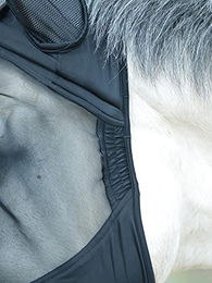 Busse Fliegenmaske Fly Buckler Gap II für Warmblut in Royalblau – Bild 1 von 3