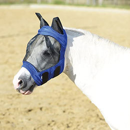 Busse Fliegenmaske FLY BUCKLER II aus Nylon in Blau für Warmblut – Bild 1 von 2