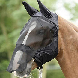 Produktbild von Busse Fliegenmaske Fly Buckler Plus Schwarz für Shetty