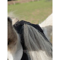 Produktbild von Busse Fliegenmaske Fly Cover Fransen Gap Fleece für Ponys in Grau Schwarz