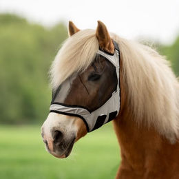 Busse Fliegenmaske FLY GUARD FREE für Warmblut in Hellgrau – Bild 1 von 2