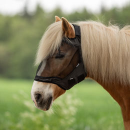 Produktbild von Busse Fliegenmaske FLY GUARD FREE für Warmblut in Schwarz