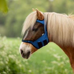 Produktbild von Busse Fliegenmaske Fly Guard Free für Warmblut Pferde in Blau aus Nylon