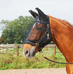 Produktbild von Busse Fliegenmaske Fly Guard Plus aus Fleece in Schwarz
