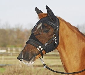 Busse Fliegenmaske Fly Protector für Ponys in Schwarz – Bild 1 von 10