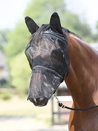 Busse Fliegenmaske Fly Protector für Warmblut Pferde in Schwarz – Bild 1 von 9