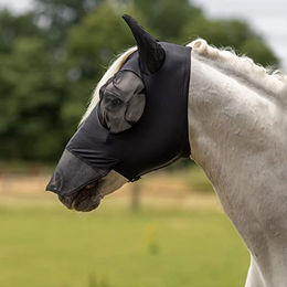 Busse Fliegenmaske Twin Fit Flexi Plus für Shetty Pferde aus Nylon in Schwarz – Bild 1 von 2