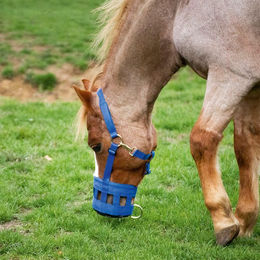 Busse Fressbremse Classic aus Gummi für Warmblut Pferde – Bild 1 von 2