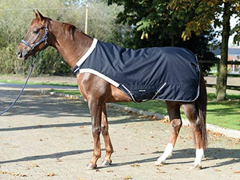 Busse Führanlagendecke Trainer 50 mit 50g Wärmeisolierung für Pferde Navy Rückenlänge 135 cm – Bild 1 von 3