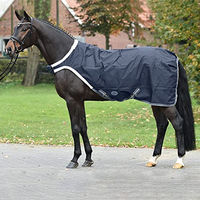 Produktbild von Busse Führanlagendecke Walking 100 Blau aus Polyester