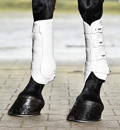 Busse Gamaschen DRESSAGE-PRO Weiß XL – Bild 1 von 3