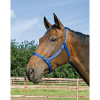 Produktbild von Busse Halfter WEIDE aus Nylon für Warmblut in Rot oder Blau
