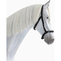 Produktbild von Busse Halfter Weide aus Nylon Schwarz für Ponys