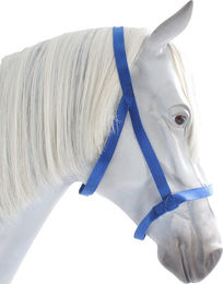Busse Halfter Weide für Ponys in Royalblau – Bild 1 von 4