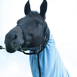 Busse Halsteil Extensive Zip für Pferde Hellblau Größe S – Bild 1 von 7