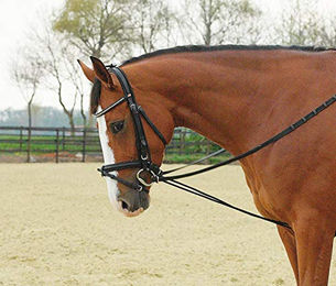 Busse Halsverlängerer aus Nylon in Schwarz für Warmblut Pferde - 1 Stk. – Bild 1 von 2