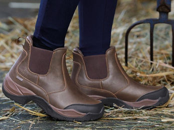 Produktbild von Busse Jodhpur Stiefelette ATLANTA Reitstiefel aus Leder wasserdicht Braun Größe 36