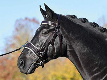 Busse Kappzaum Fit Pro aus Leder in Braun Creme für Vollblut und Warmblut – Bild 1 von 2