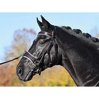 Produktbild von Busse Kappzaum Fit Pro aus Leder in Braun Creme für Vollblut und Warmblut
