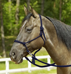 Busse Knotenhalfter Ringe aus Nylon für Warmblut in Blau – Bild 1 von 2