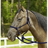 Produktbild von Busse Knotenhalfter Ringe aus Nylon für Warmblut in Blau