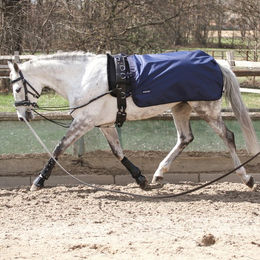 Busse Longierdecke Rain 145 Blau aus Polyester - 50 g – Bild 1 von 4