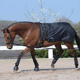 Busse Longierdecke Rain 50 Schwarz 135 - 50 g – Bild 1 von 3