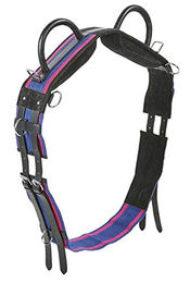 Produktbild von Busse Longiergurt DOUBLE aus Leder für Warmblut in Navy/Passion Pink