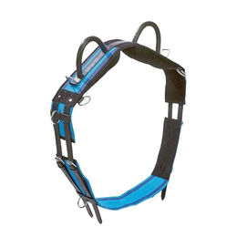 Busse Longiergurt DOUBLE aus Leder in Blau für Ponys – Bild 1 von 5